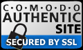 security seal
