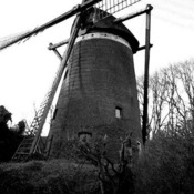 175x175_167604