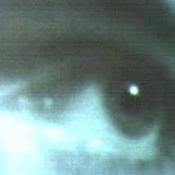 175x175_154633