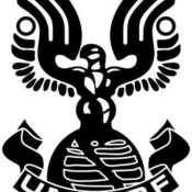 175x175_126324