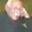 36x36_83172