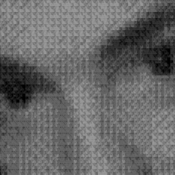 175x175_63226