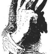 175x175_704703