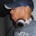36x36_1762640