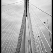 175x175_712324