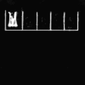 175x175_580489