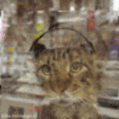 175x175_743913