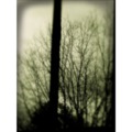 120x120_782340