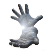 175x175_796382