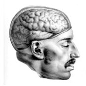 175x175_1047061