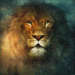 transformed.podOmatic.com