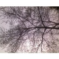 120x120_1224727