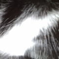 120x120_1301479
