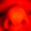 36x36_1907908