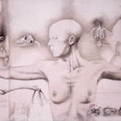 175x175_348582