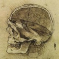 120x120_331245