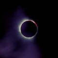 120x120_312816