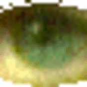 175x175_1139528