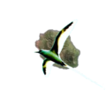 120x120_424548