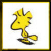 175x175_238664
