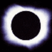 175x175_230312
