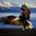 36x36_401594