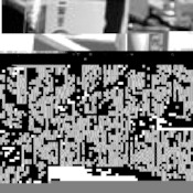175x175_447919